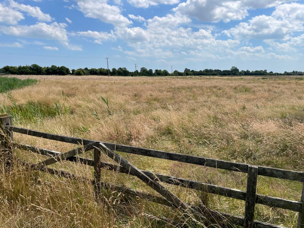 Lot: 129 - FREEHOLD LAND EXTENDING TO ALMOST FOUR ACRES - View towards A2070 from Ashford Road